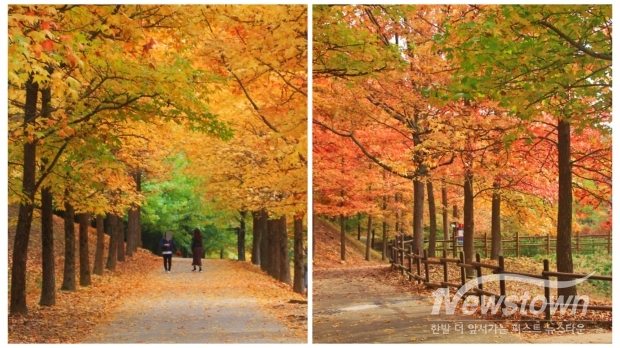 경상남도수목원, 첫 단풍축제 개최/경남도