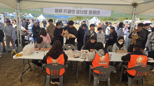 KCCF 부스