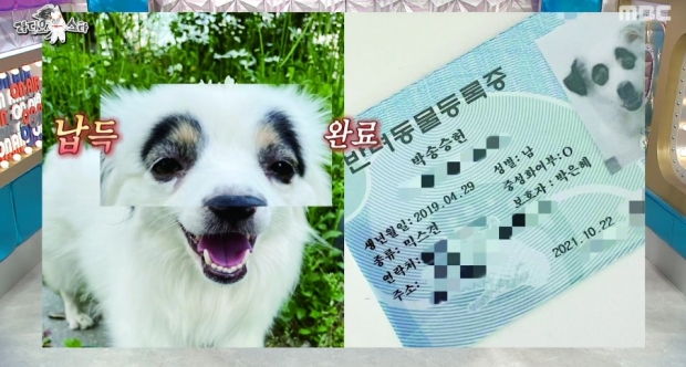 mbc라디오스타