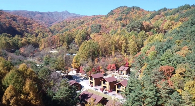 금원산 자연휴양림 숲속의집/사진 경남도