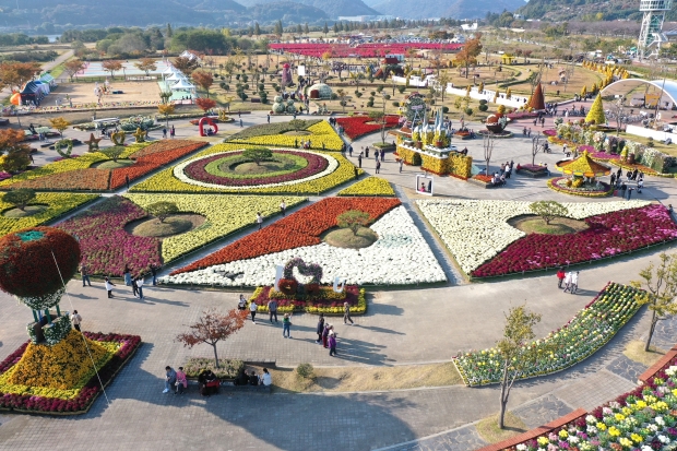 2025 양산국화축제 낮, 드론촬영 사진/사진 양산시