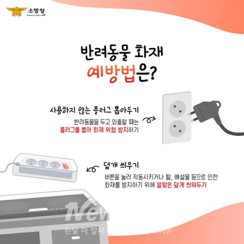 반려동물