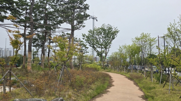 상도생활야구장 전경