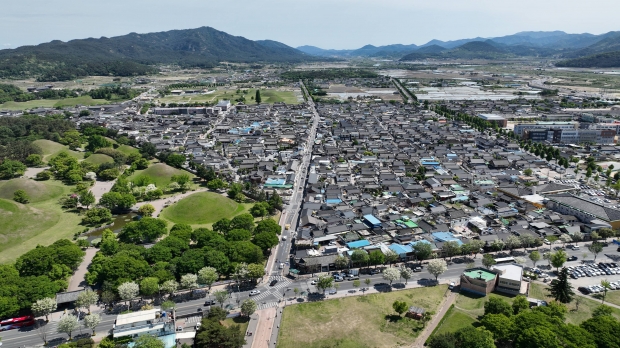 대릉원 전경