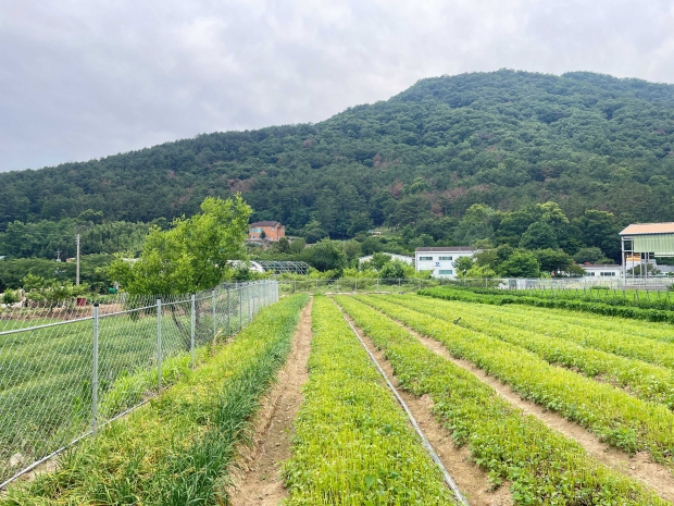야생동물 피해예방시설 설치 모습/사진 김해시제공