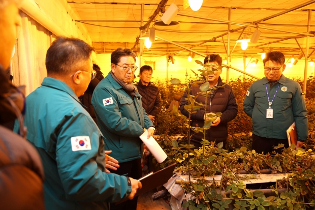 홍태용시장(사진 왼쪽 두번째)이 장미농가를 방문해 한파대비 및 화재예방을 위한 현장 점검을 하고있다./사진 김해시제공