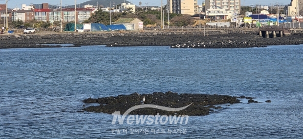 ​제주도 톤대섬 방파제 산책로 풍경사진​