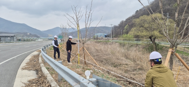 이팝나무 조성 모습/사진 김해시제공