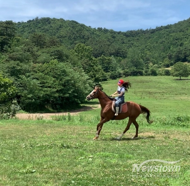 / 사진=정읍시청 제공