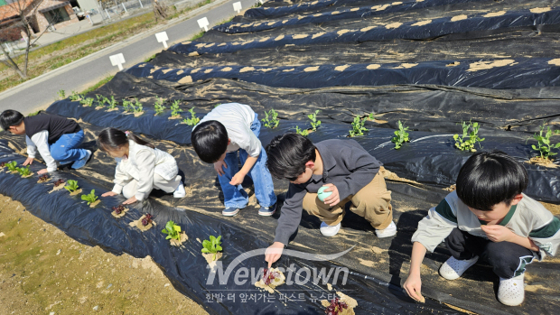 늘봄학교 연계 학교현장 교육프로그램(사진 / 청양군 제공)