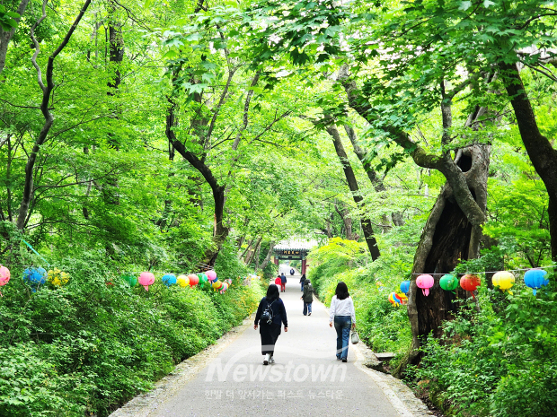 공주 계룡산 갑사(사진 / 뉴스타운)