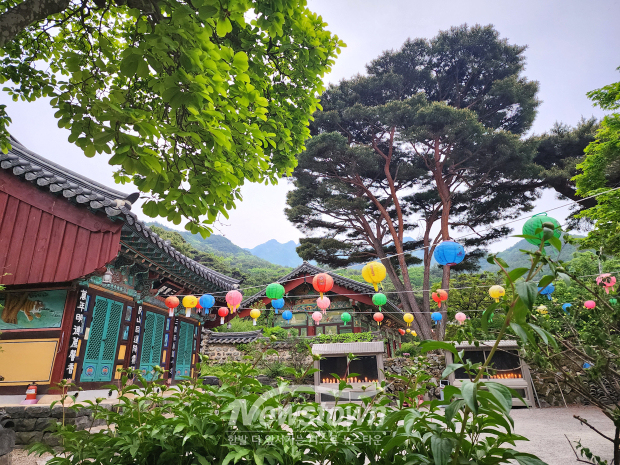 공주 계룡산 갑사(사진 / 뉴스타운)