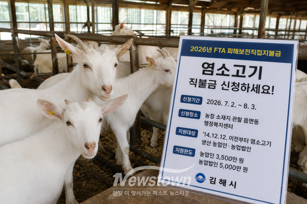 기사 관련 AI생성 이미지/김국진기자