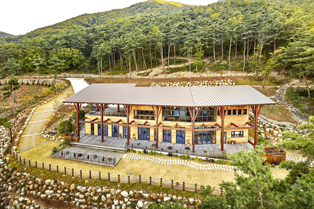 경남도, 도내 11곳 ‘치유의 숲’으로 산림복지 확대